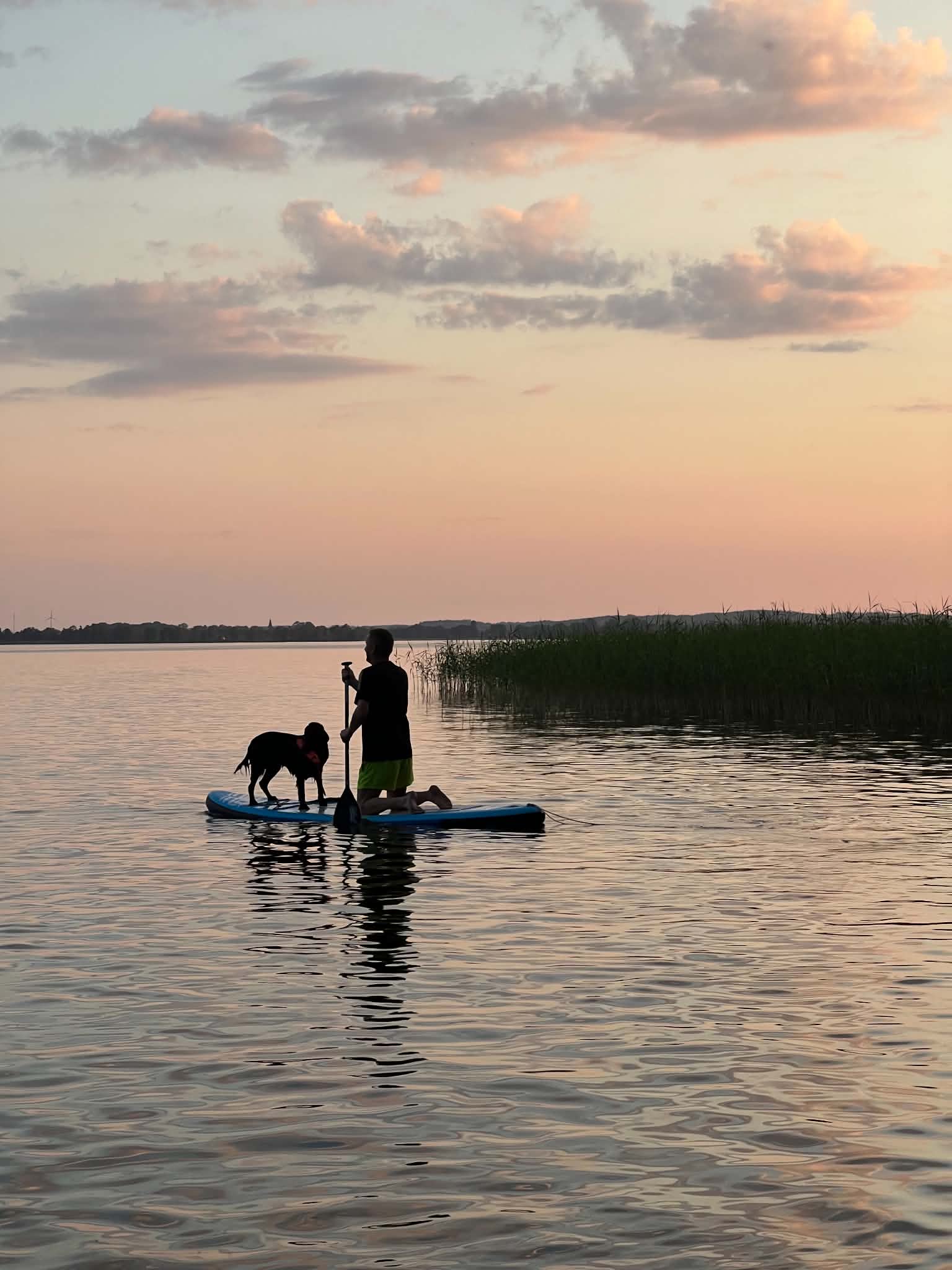 Sup-bräda – perfekt för sommarens äventyr!