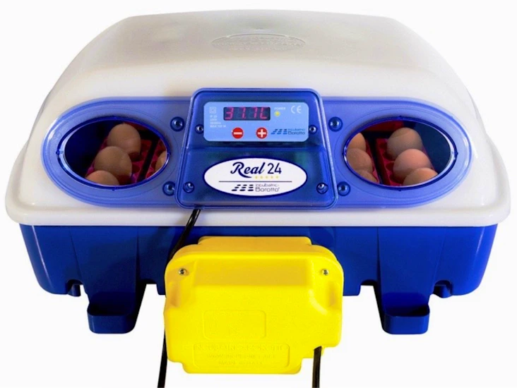 Real 24 helautomatisk rugemaskin