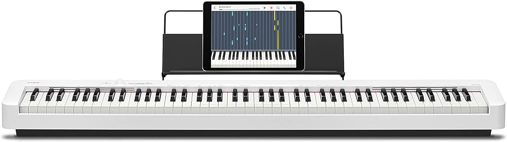 Casio cdp-s110bk digital piano