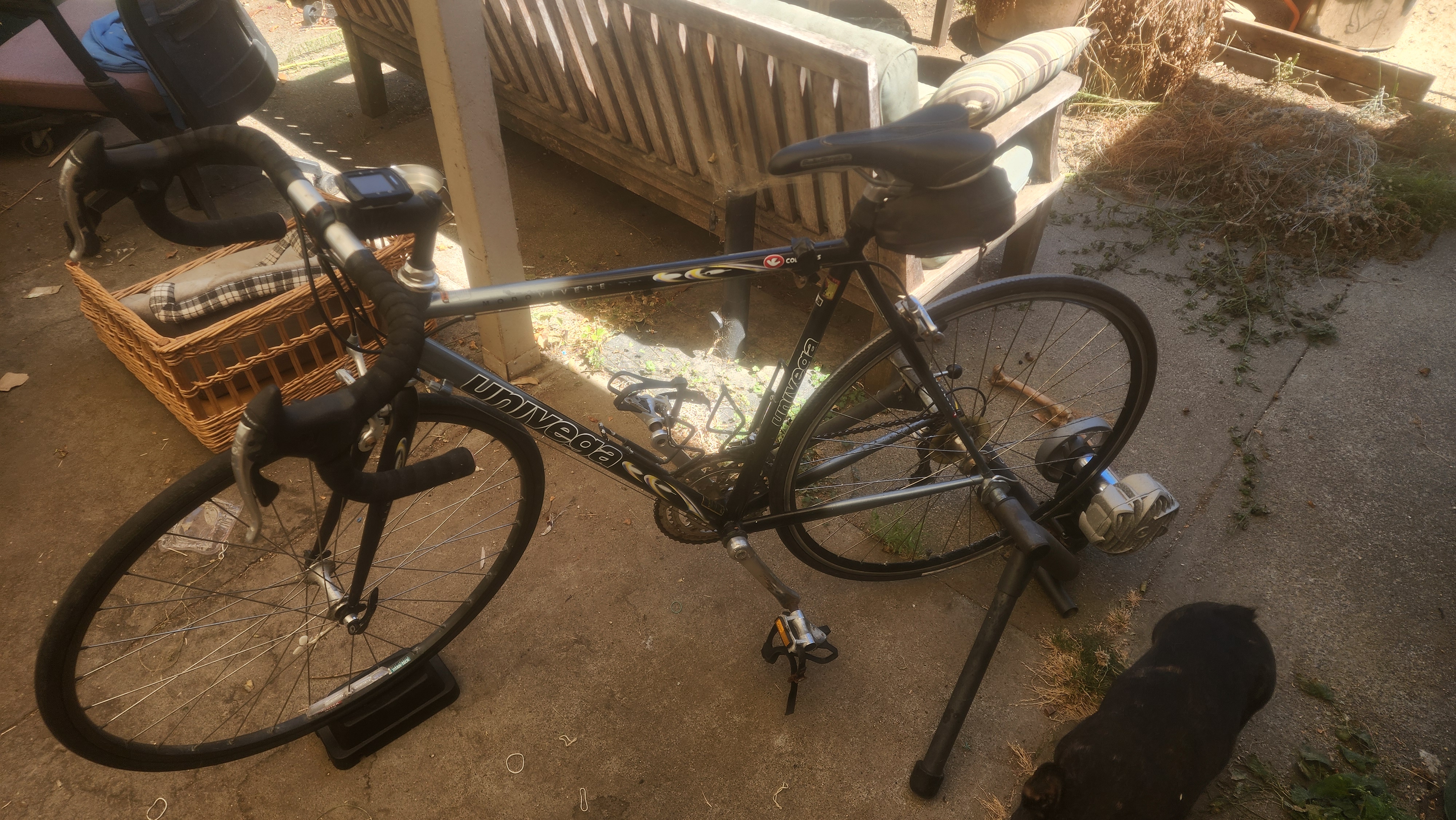 Univega modo vivere bike size 54 frame 