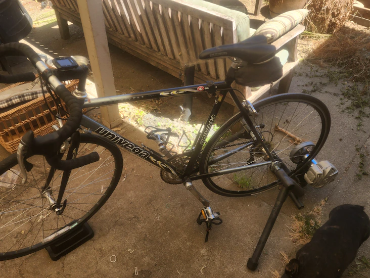 Univega modo vivere bike size 54 frame