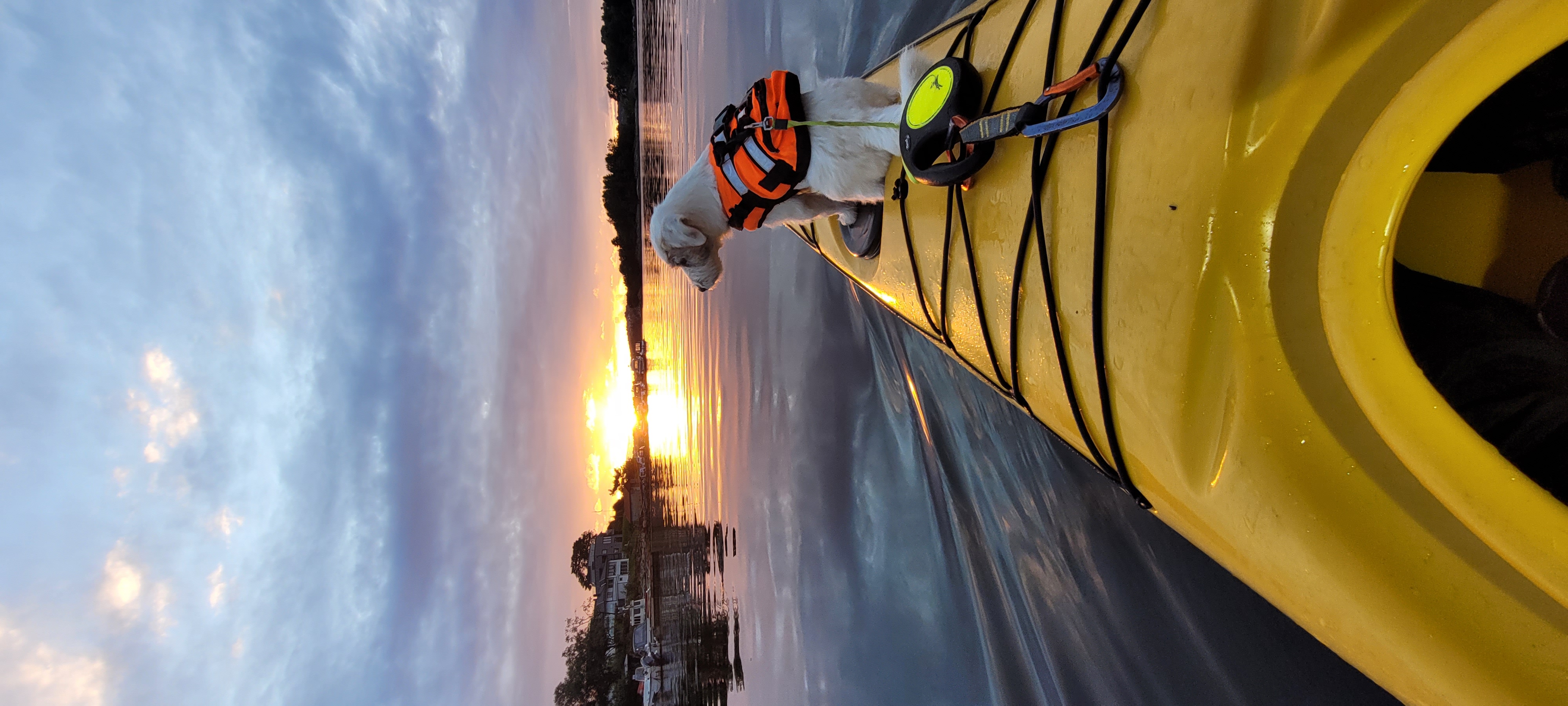 Borealis design epsilon p300