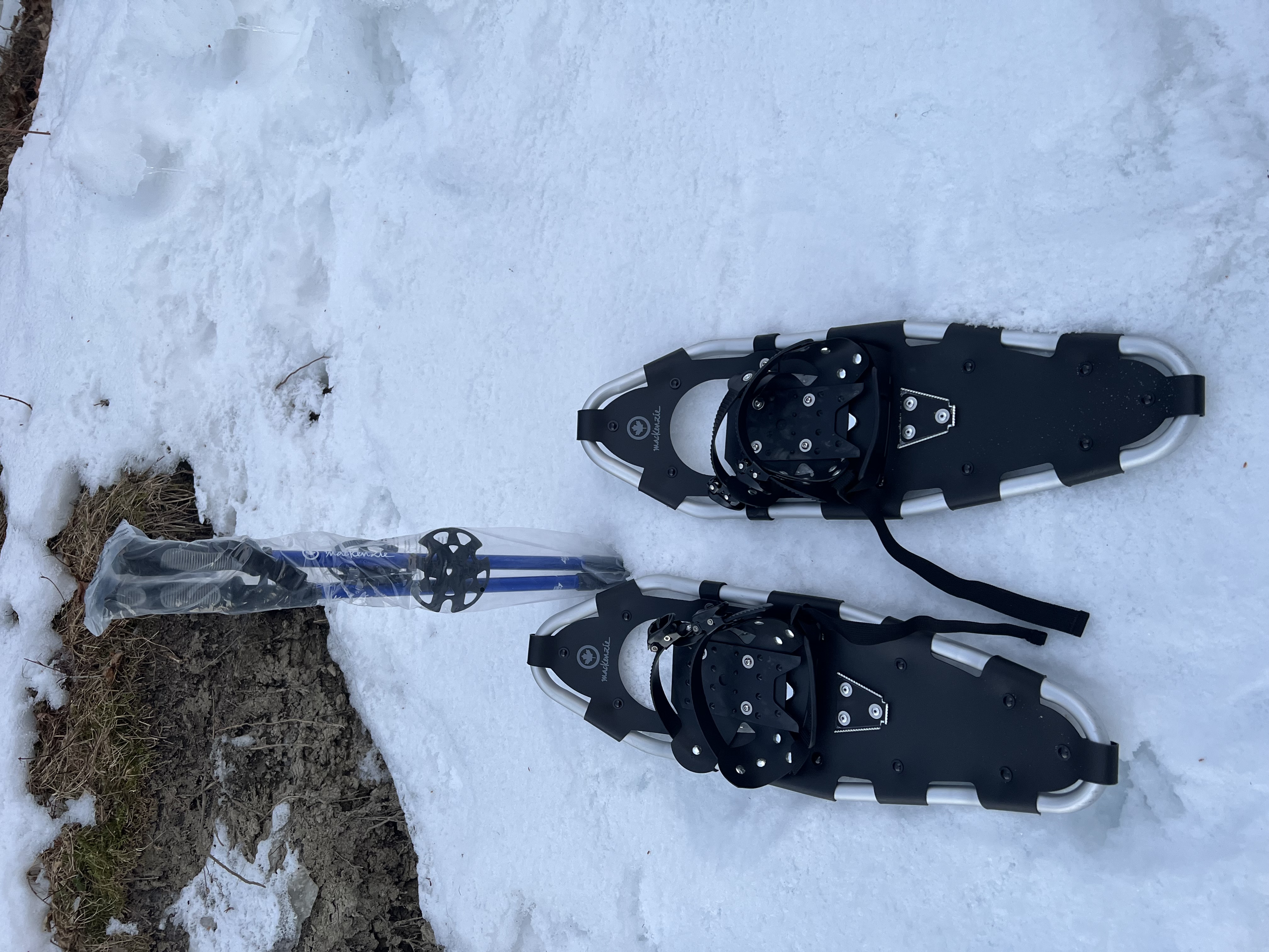 Truger - med bærebag og staver