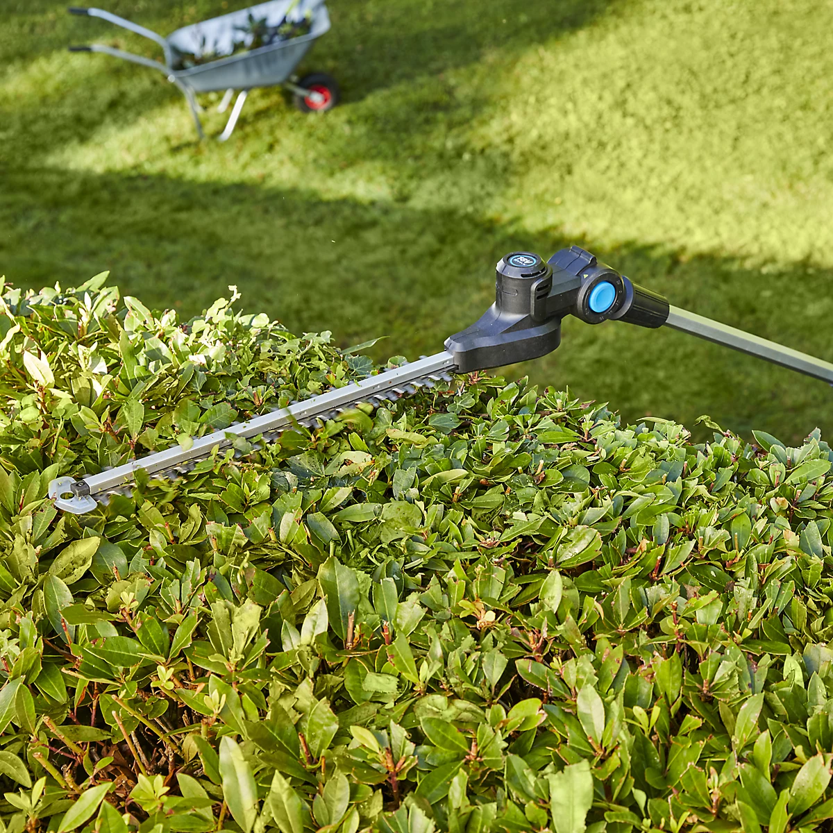 Macallister hedge trimmer