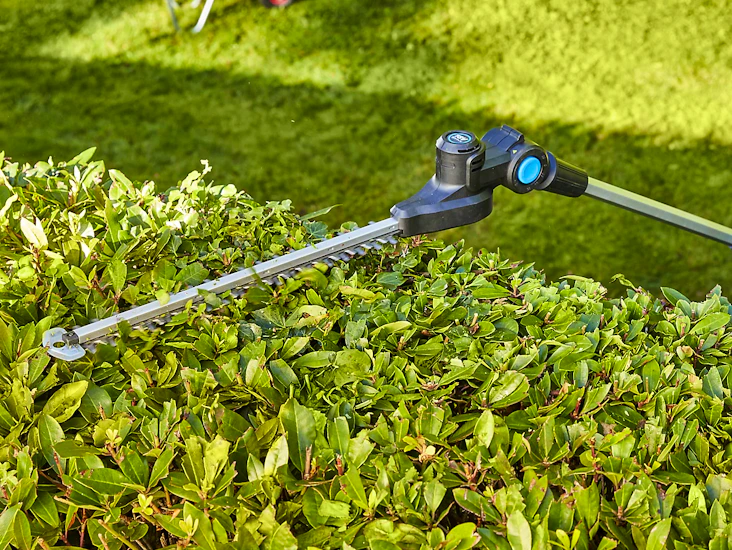 Macallister hedge trimmer