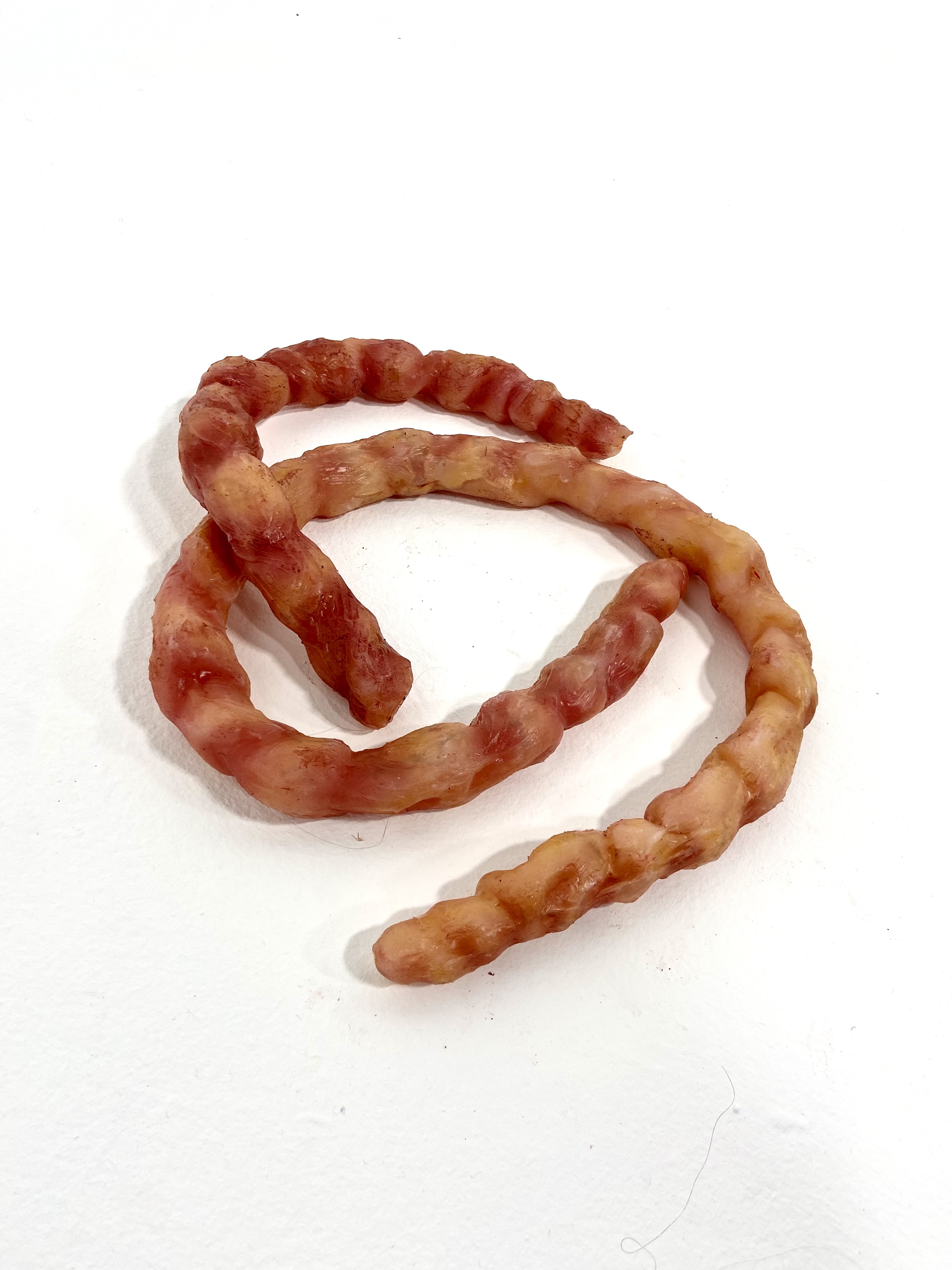 Realistic silicone small intestines - perfect for film & display