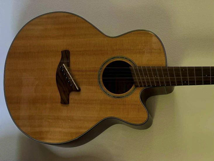 Ibanez aelff10 – sjælden multi-scale akustisk-elektrisk (rare multi-scale acoustic-electric)