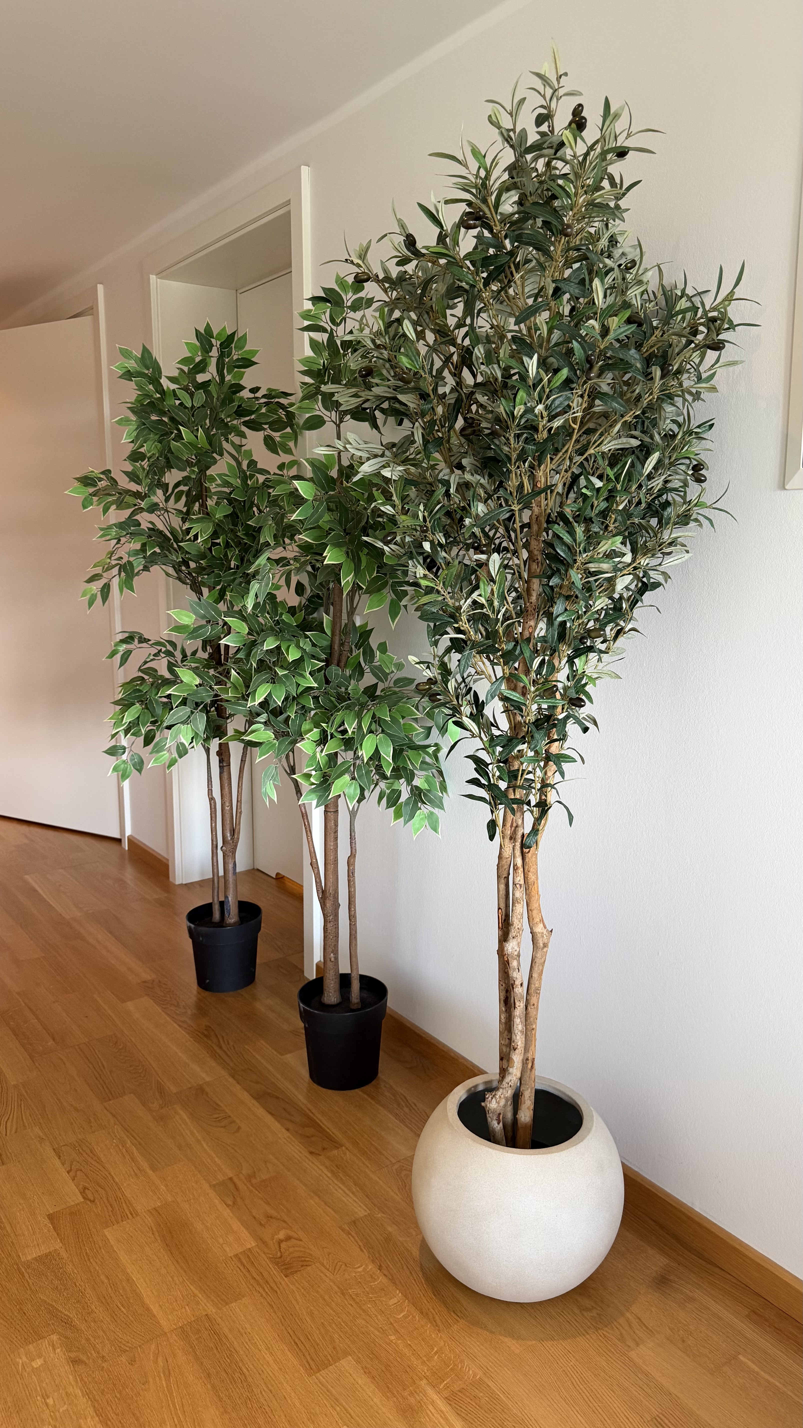3 planter til styling