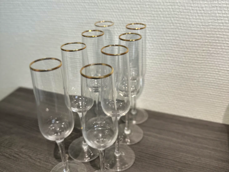 8kpl kuktareunuksinen kuohuviinilasi