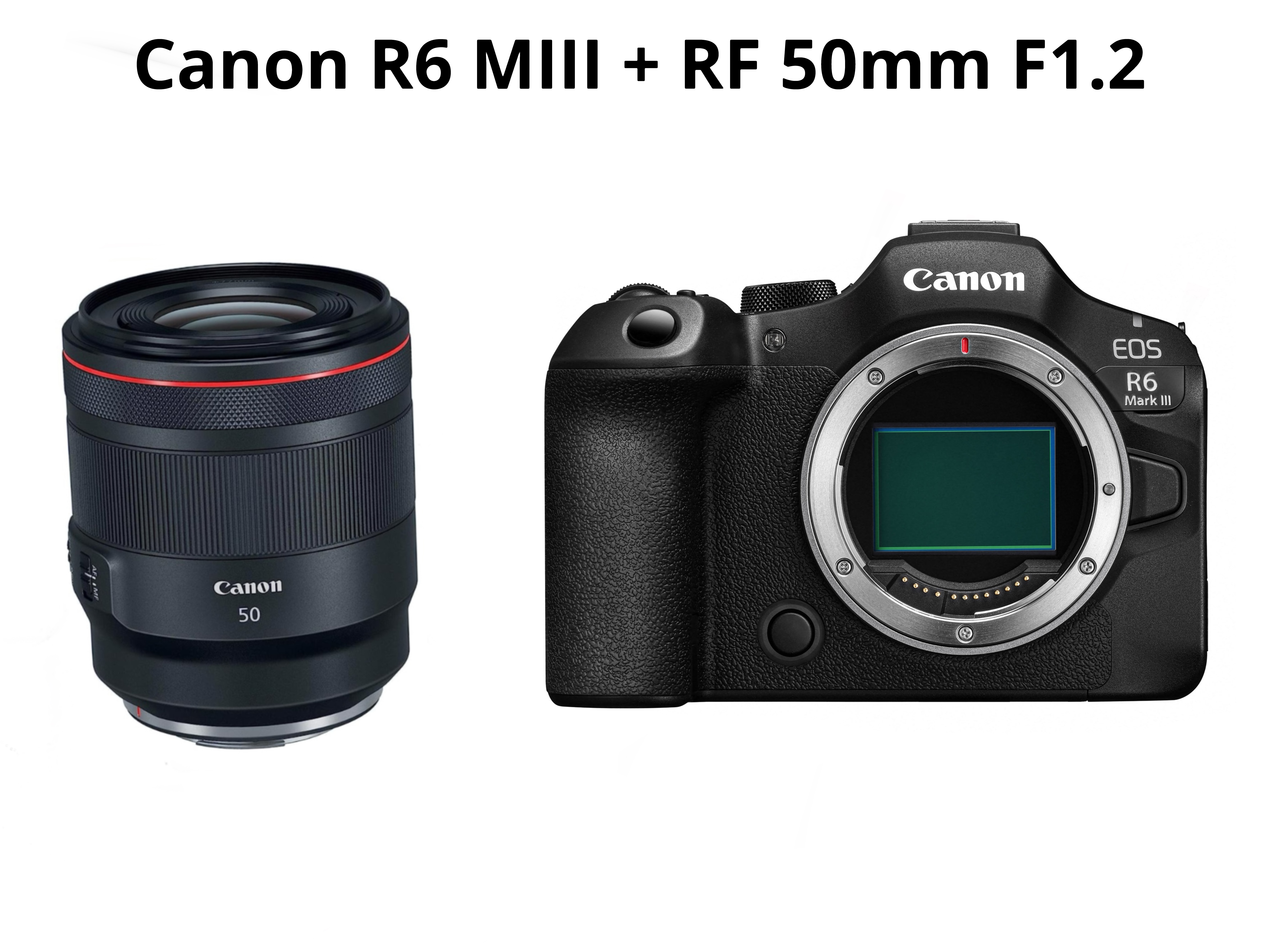 Canon r6 mark iii  + rf 50mm f1.2  ( canon eos r6 mark iii - canon r6miii )