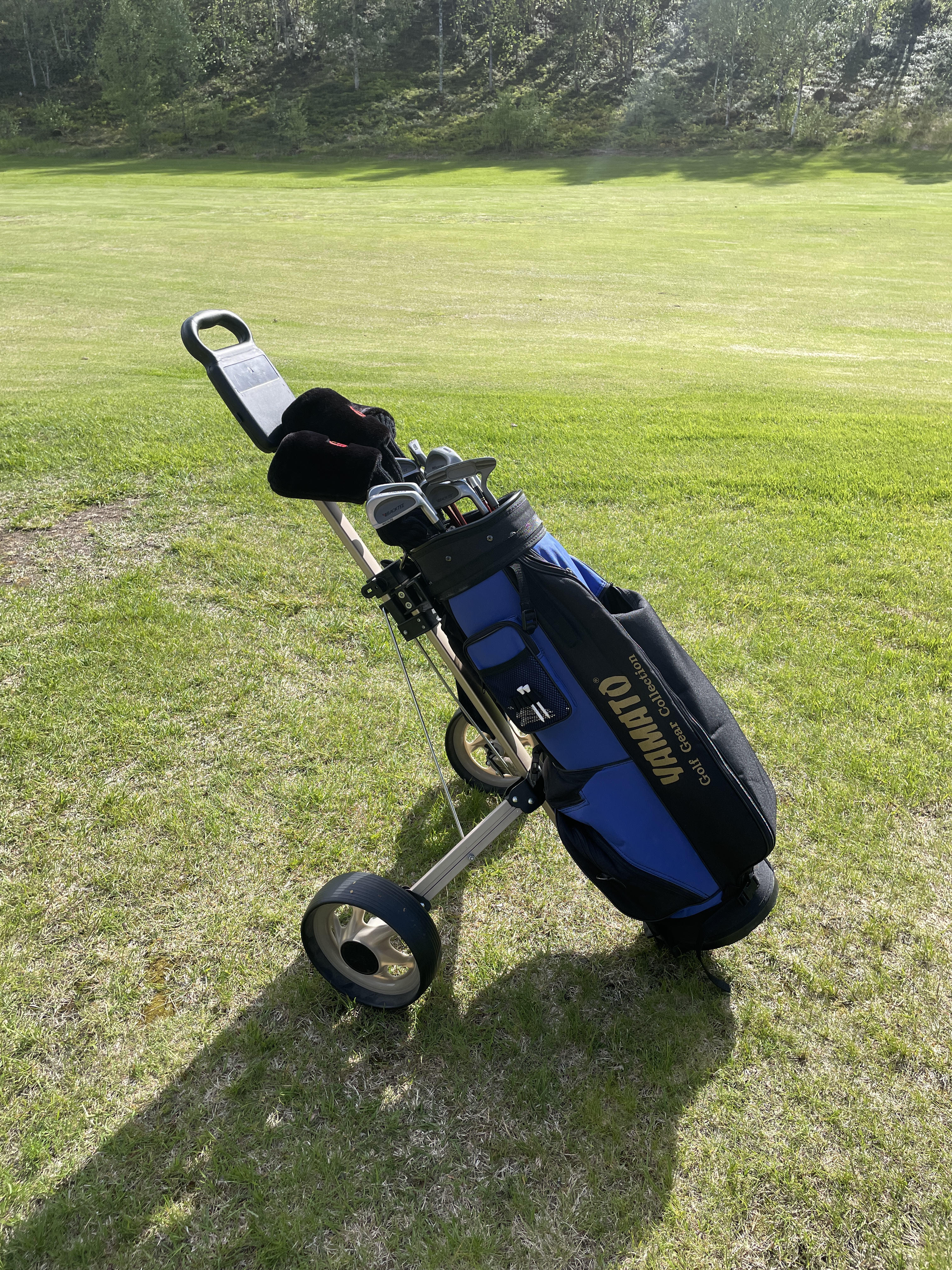 Golfsett 