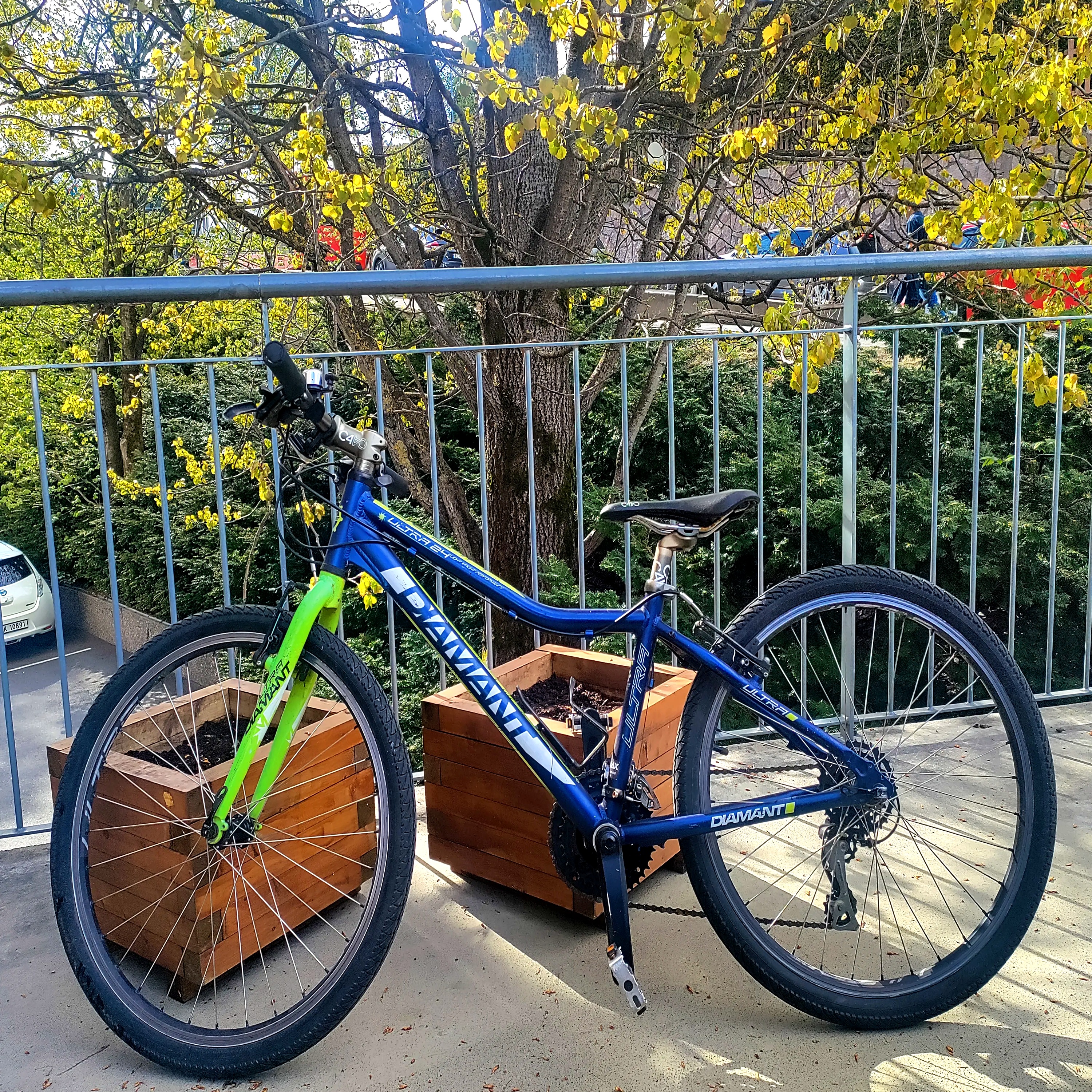 🚲 diamant ultra 24 barnesykkel til leie – lett og sporty juniorsykkel (8–12 år)