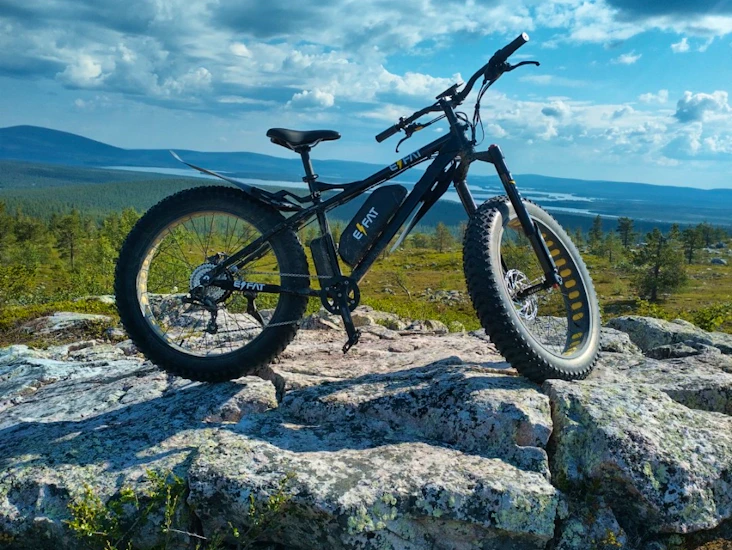 Efat - 1000w sähköfatbike kaasukahvalla