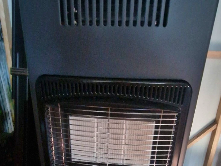 Gasålkamin med fläkt inkl gasål 4,2 kw