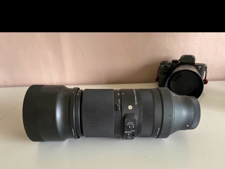 Sony fe/ sigma 100-400