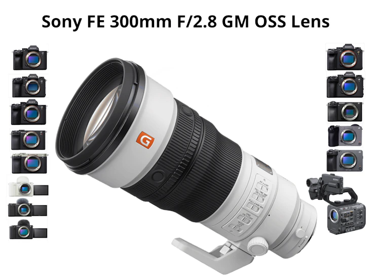 Sony 300mm f 2.8 gm oss lens