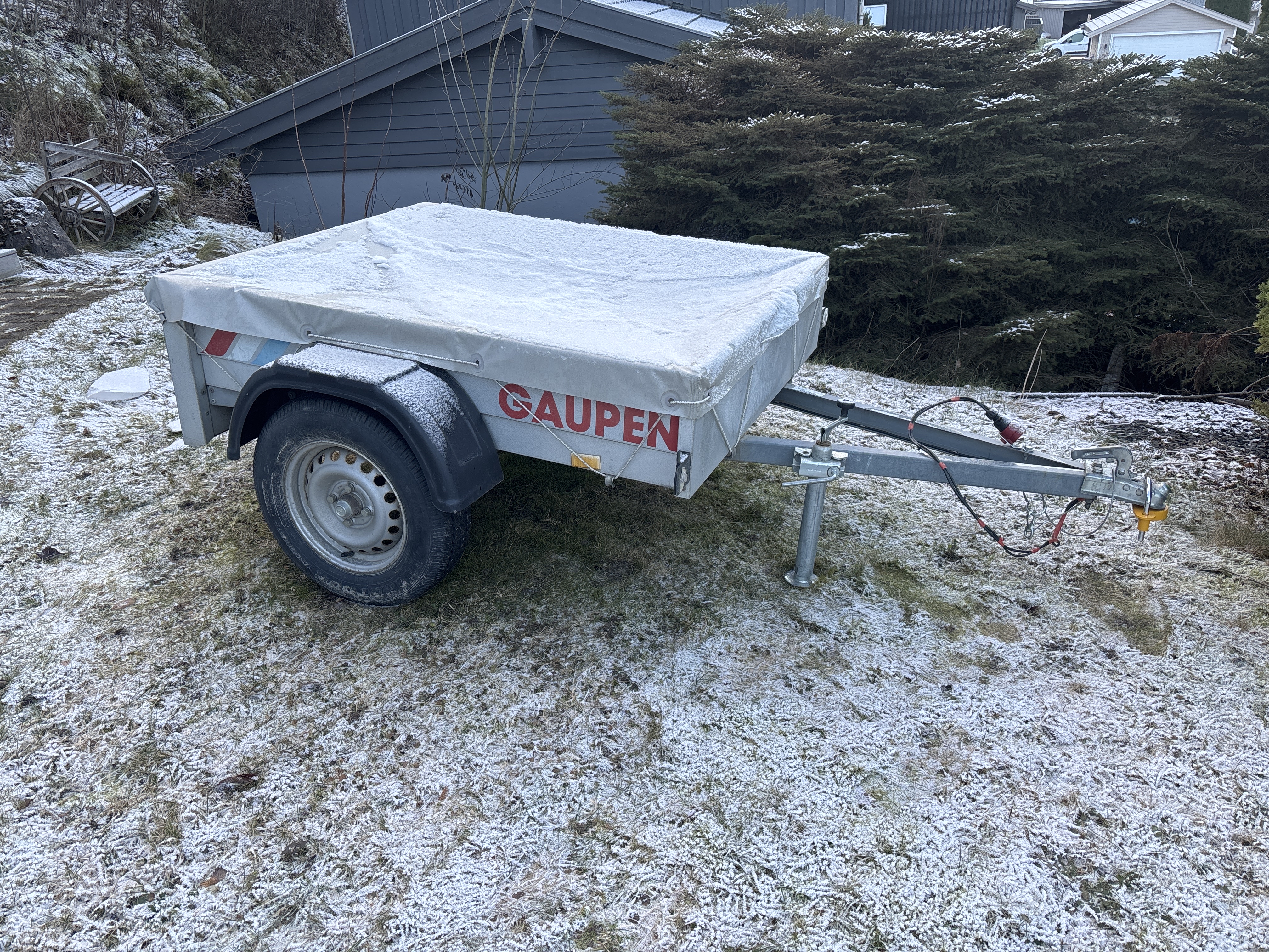 Liten og nett gaupen henger