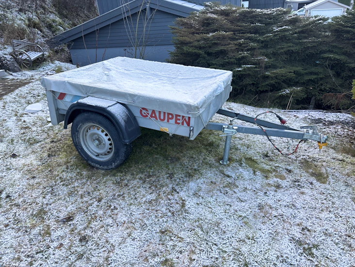 Liten og nett gaupen henger