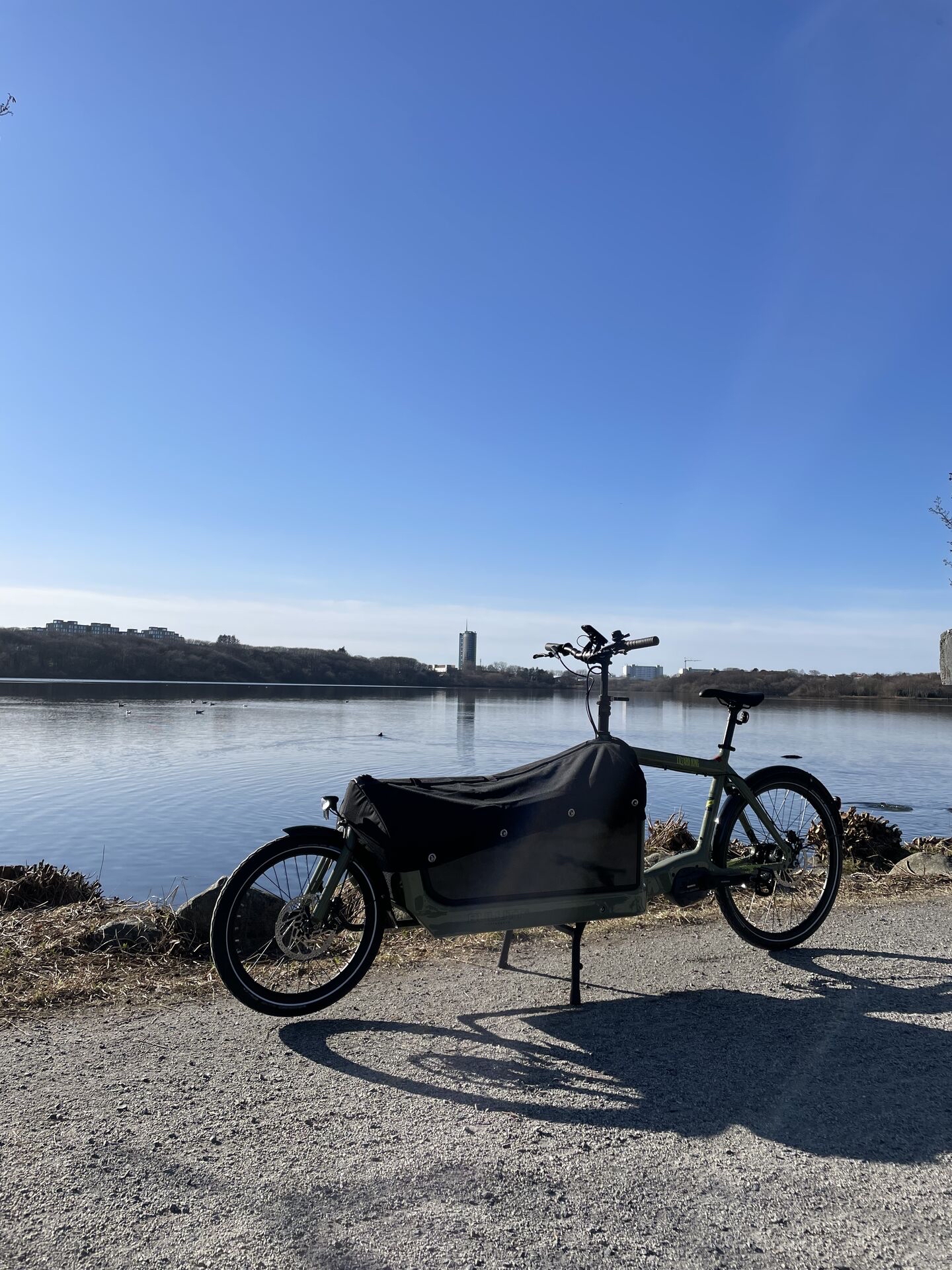 Larry & barry cargosykkel «lizzard king»