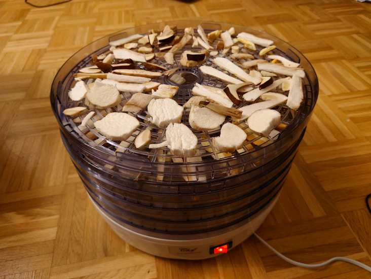 Sieni- ja kasvikuivuri