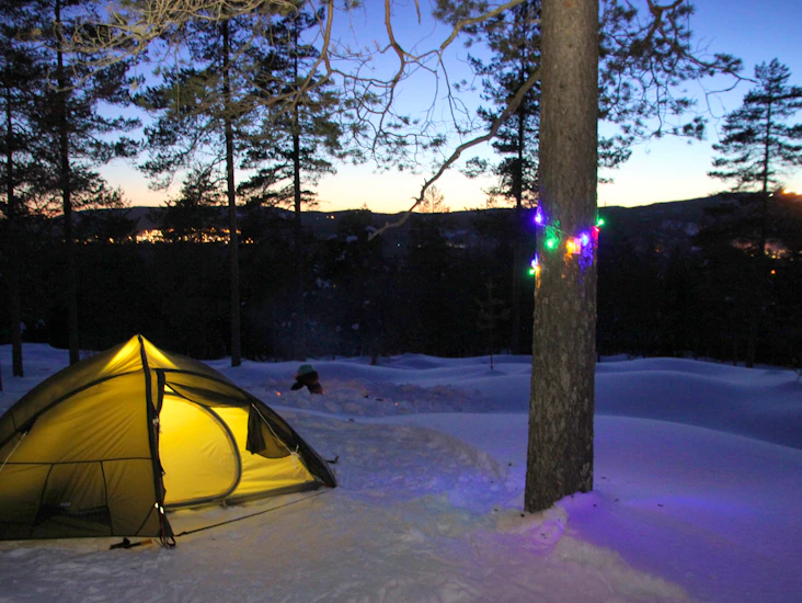 Helsport reinsfjell pro 2 helårstelt