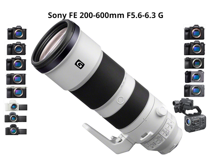 Sony 200-600mm f5.6-6.3 g