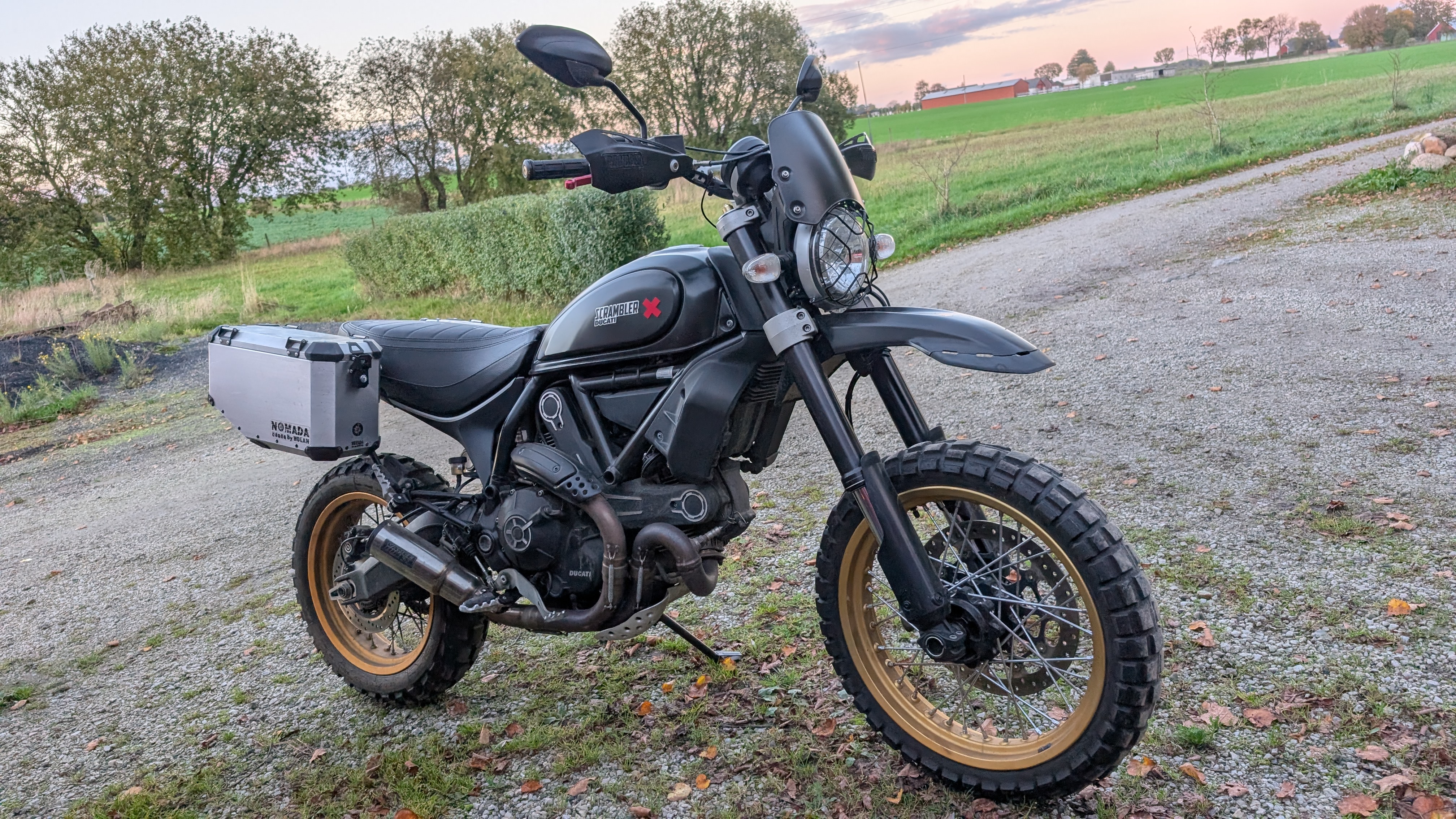 Ducati scrambler desert sled 