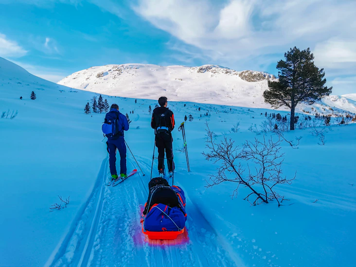 Pulk med bag, bedding, sele, faste drag og taudrag