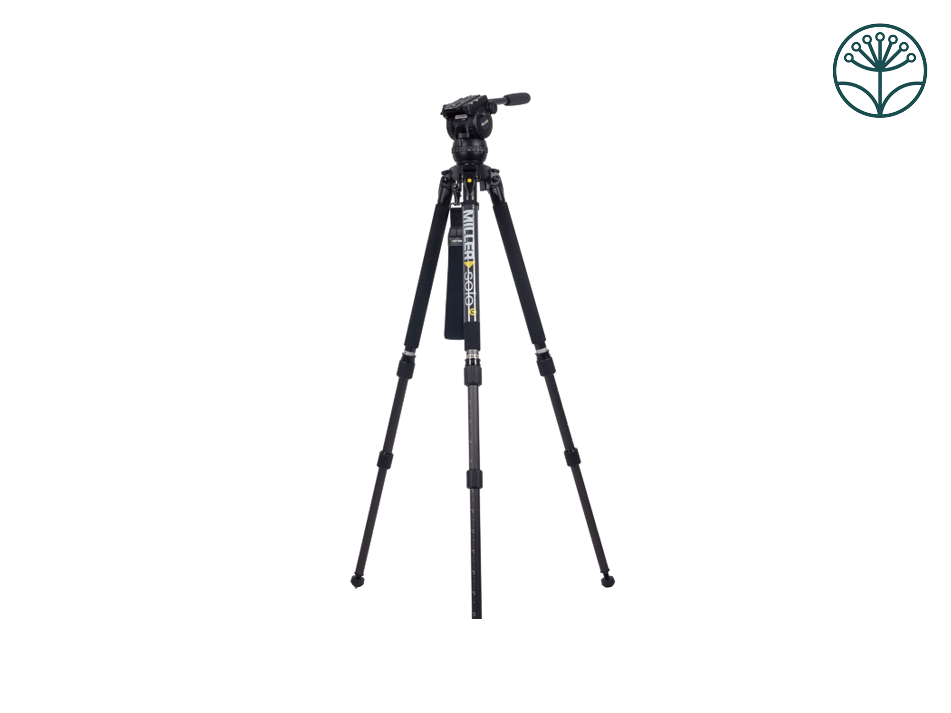 Miller 3730 solo-q 75 3-st cf