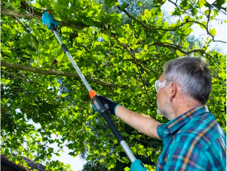 Teleskopisk grensag gardena