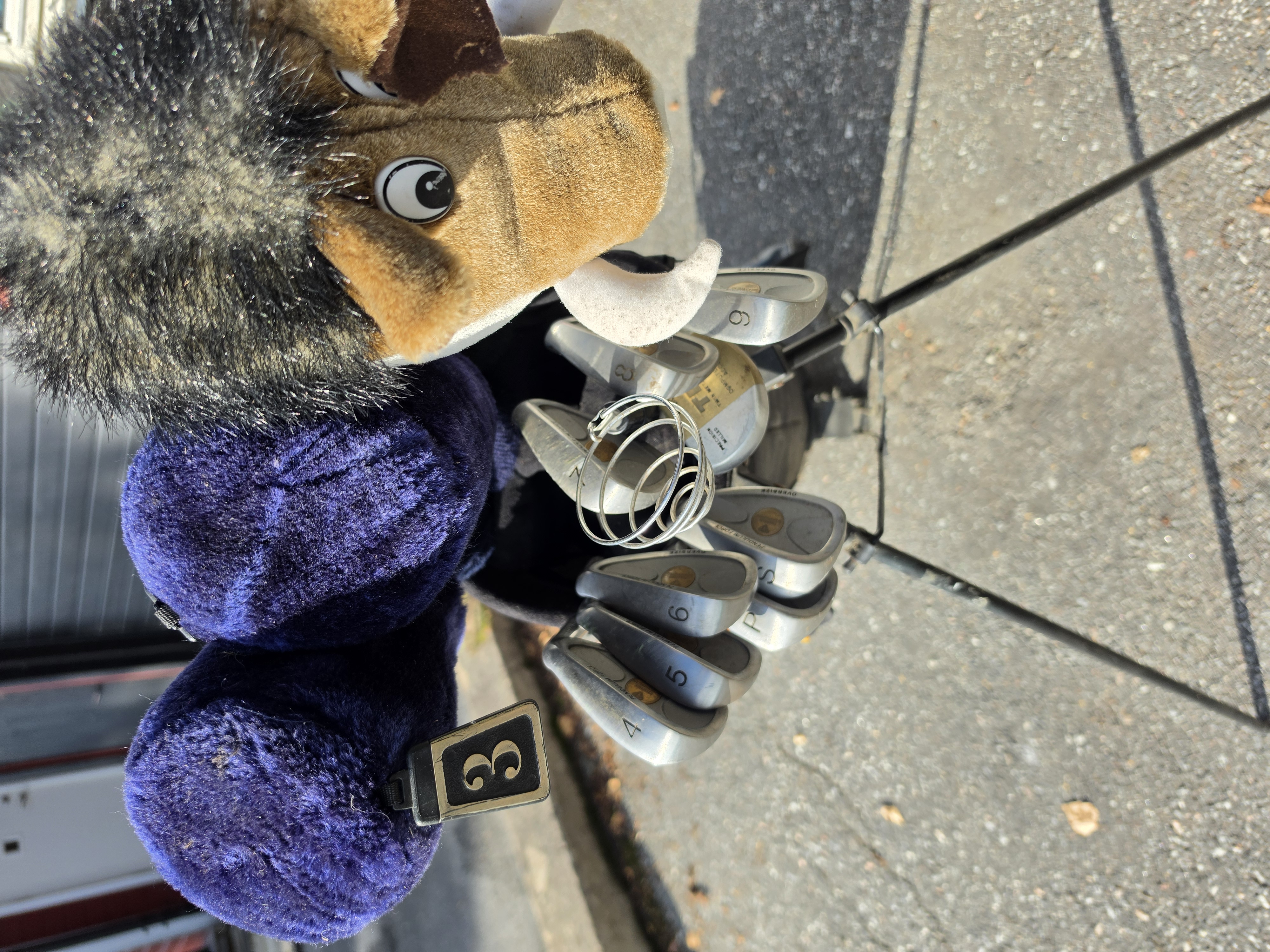 Komplett golfset "right"