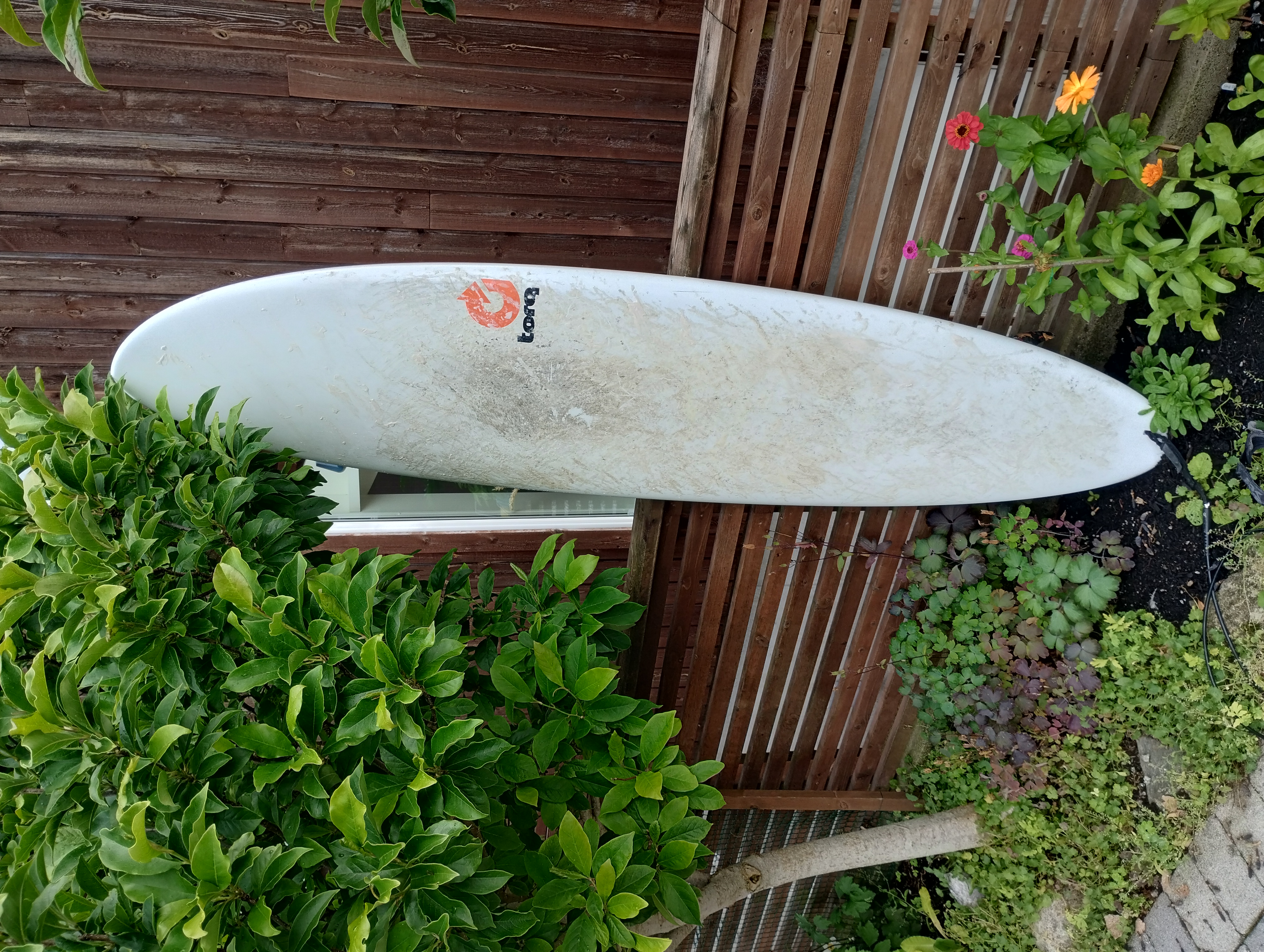 Surfebrett 