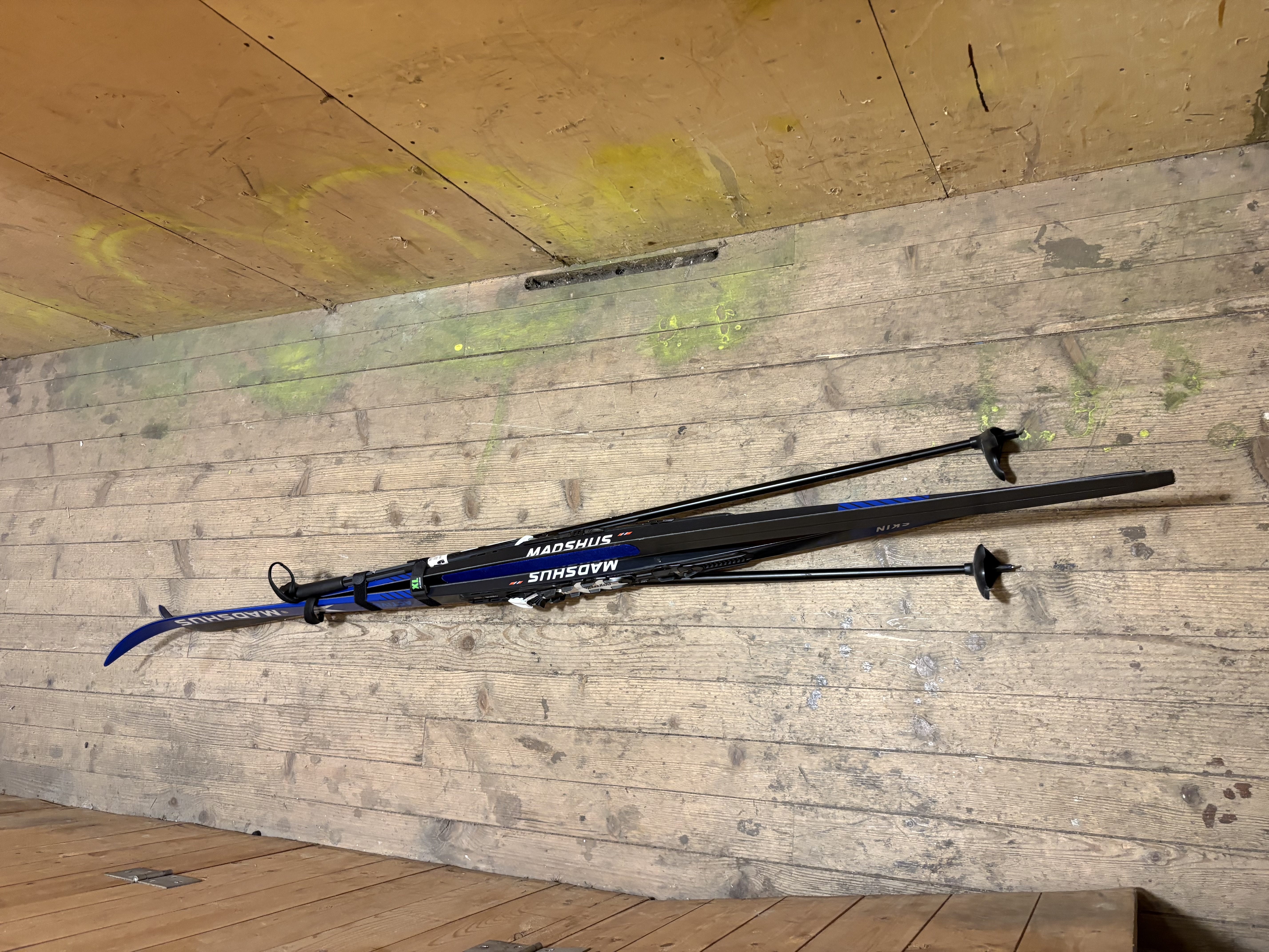 Felleski til dame ca 170 cm