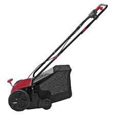 Utleie av vertikalskjærer/mosefjerner!