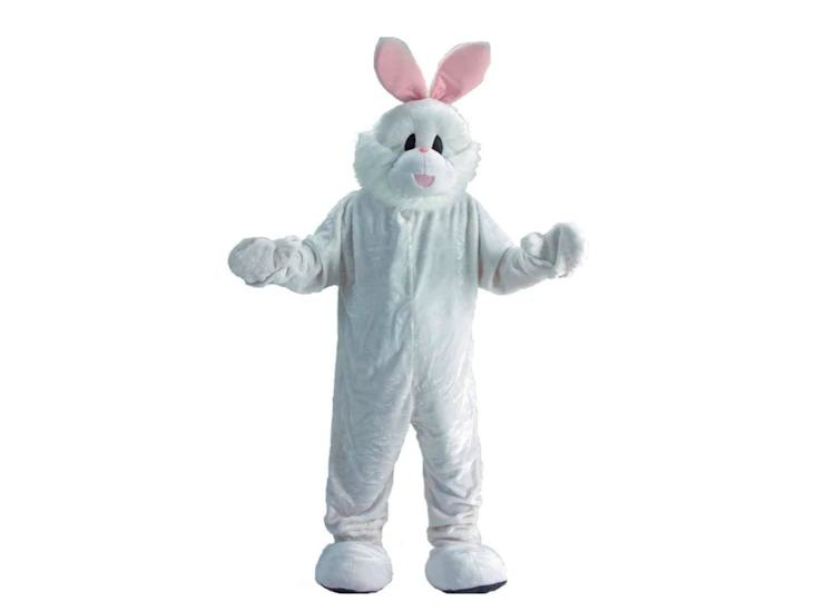 Kaninkostyme 🐰