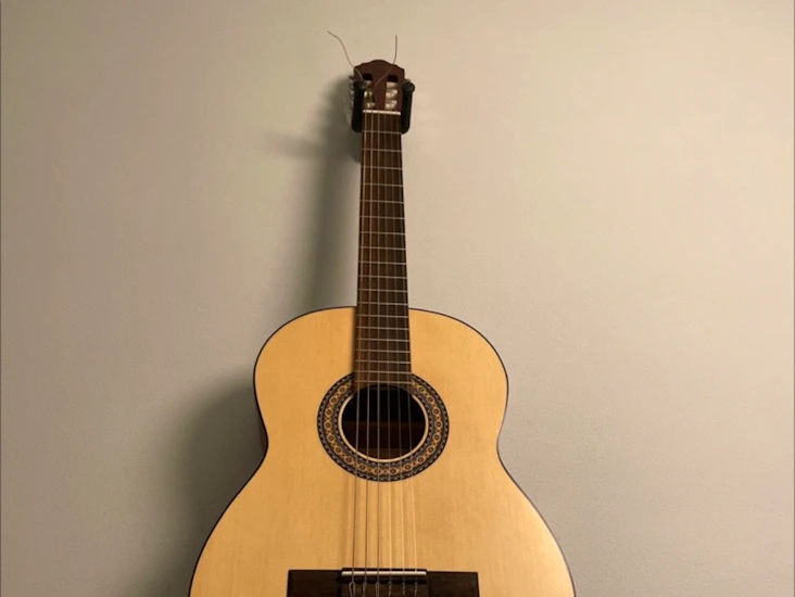 Acoustic guitar