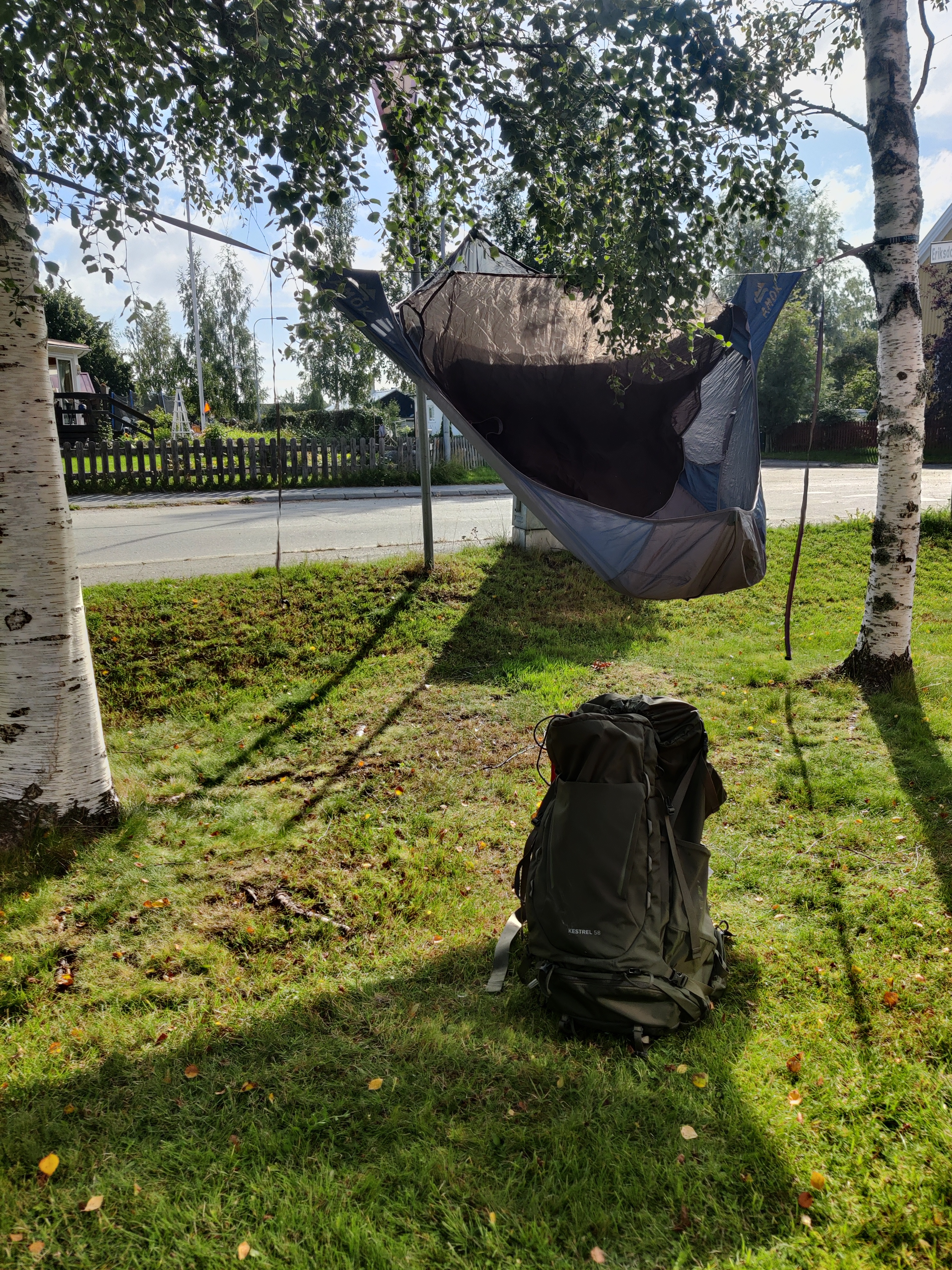 Camping hammock