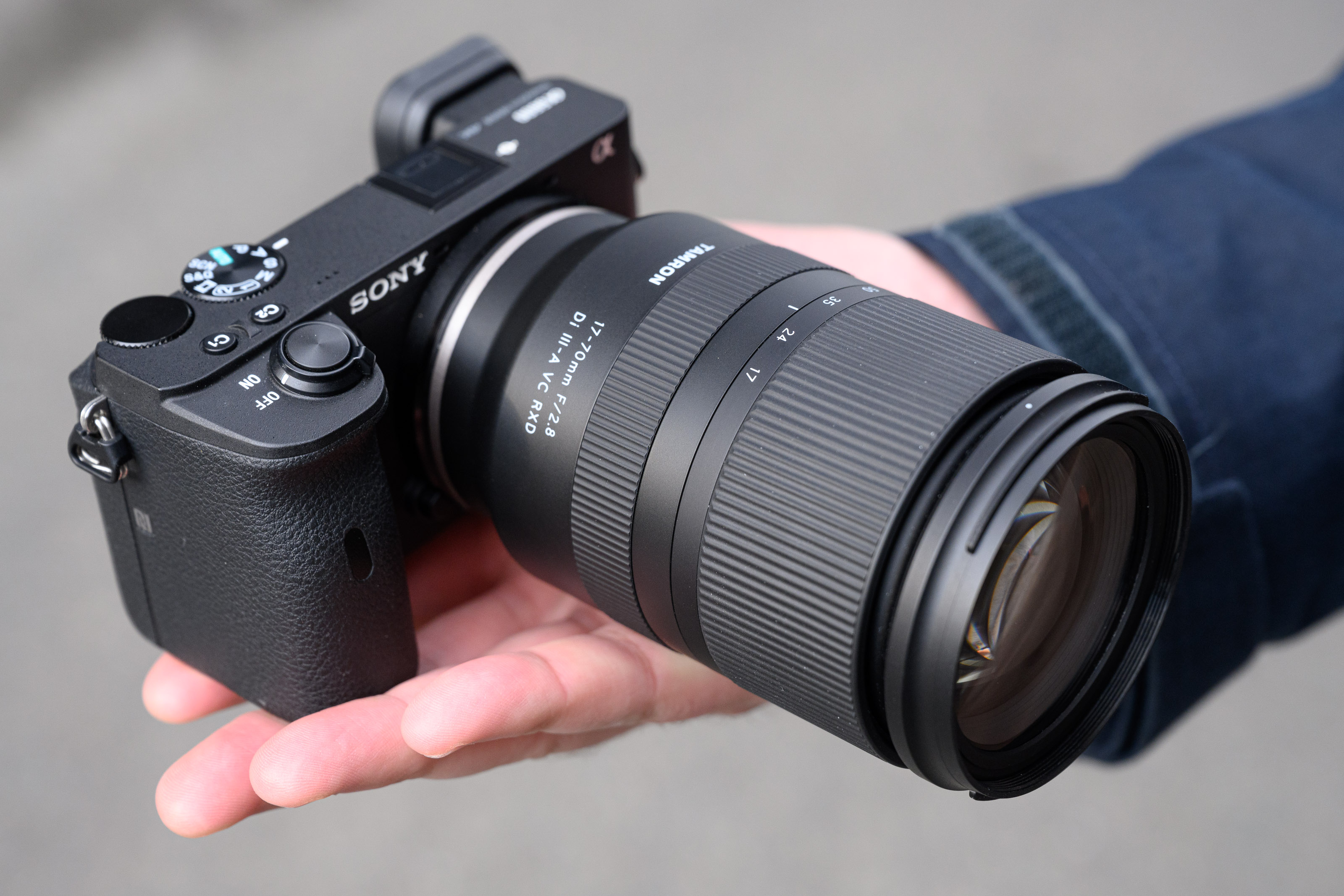 Sony a6600