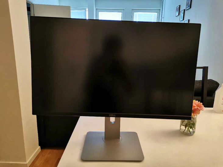 Dell 27 inch ( dell ultrasharp u2715h)