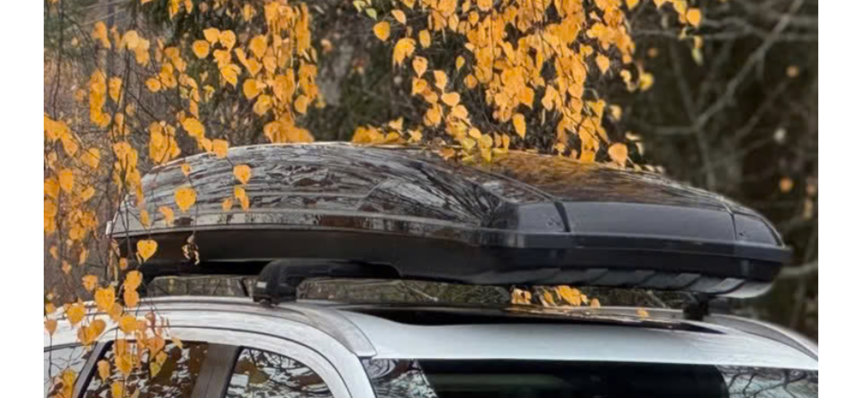 Skiboks med takstativ til tesla model 3/y