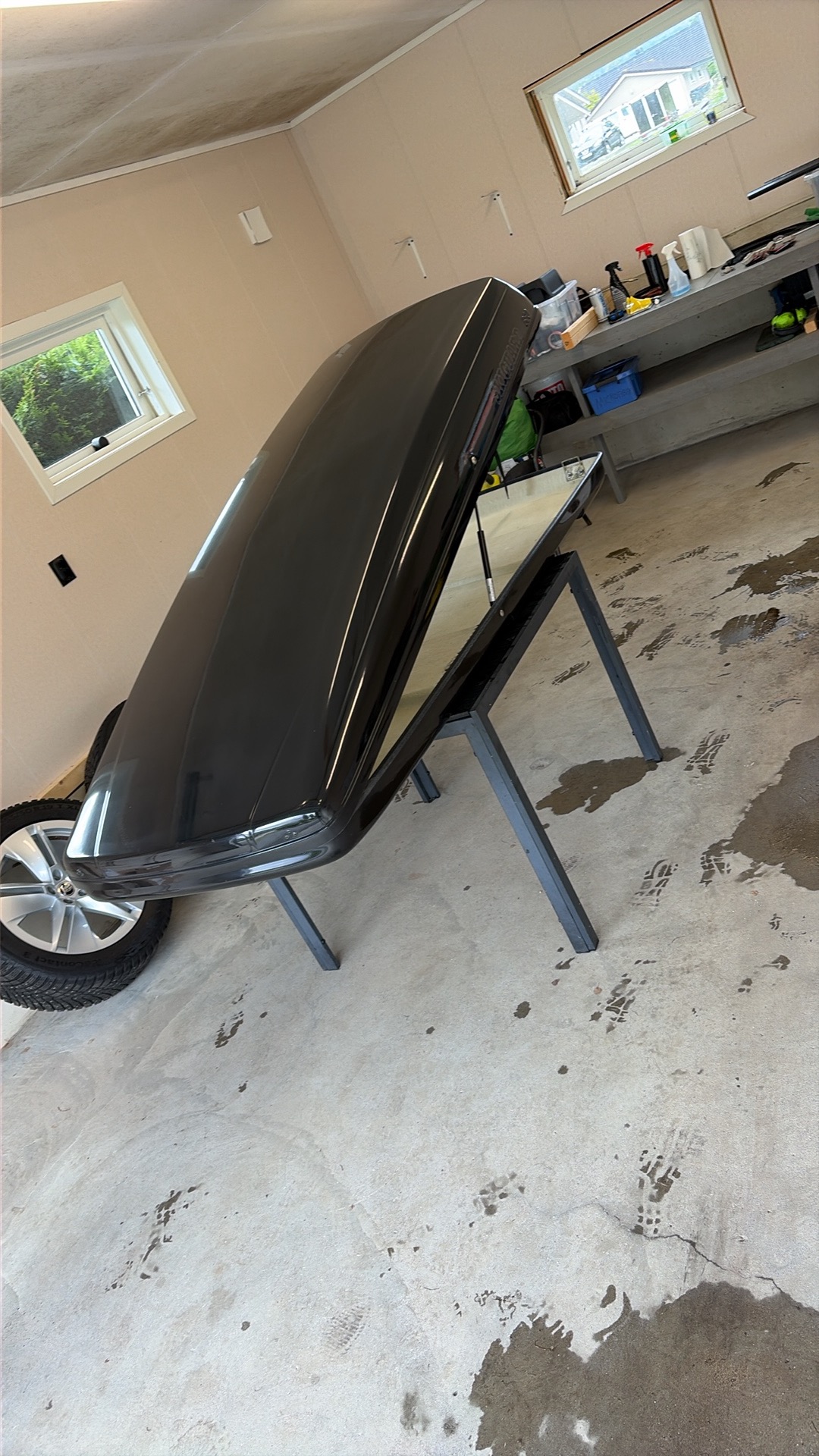 Skiguard 850