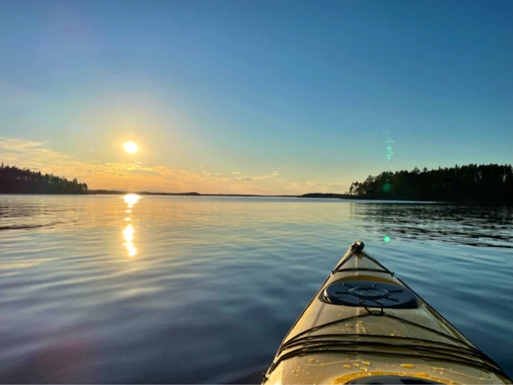 Seabird discovery 430