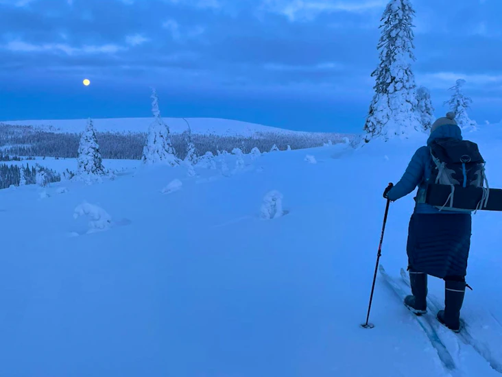 Metsäsukset - paketti