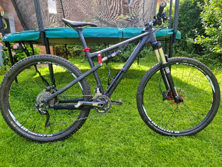 Mountainbike rose bike