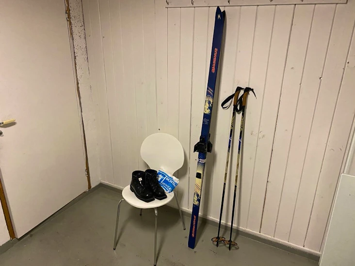 Fjellski dame (str 38-39)