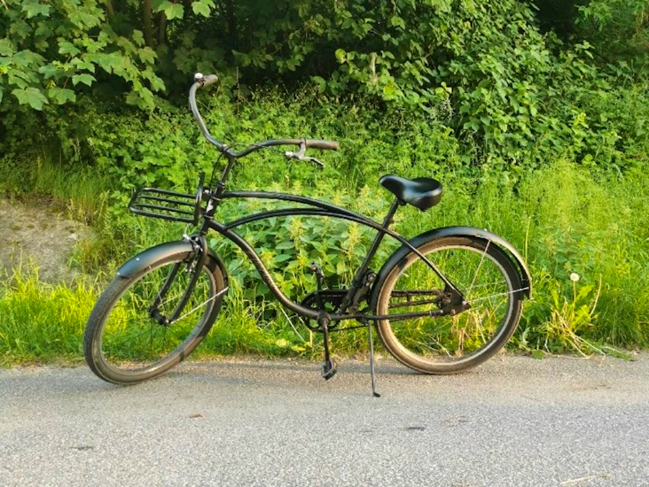 Beach cruiser från electa