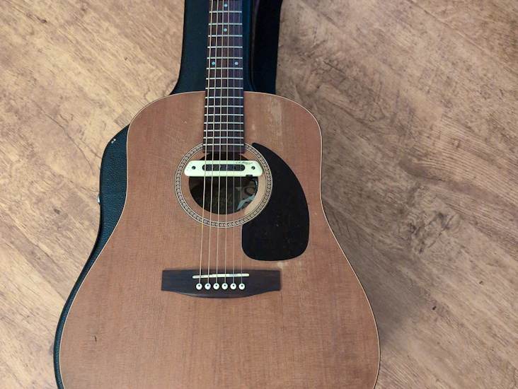 Seagull s6, l.r. baggs pickup, hard case, chord, tuner, strap and capo