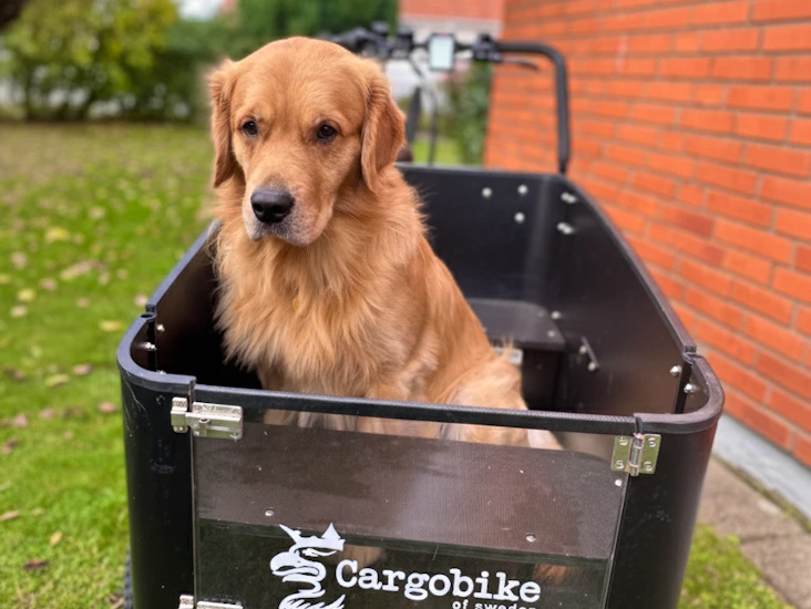 E-lådcykel cargobike flex med hundlucka – limhamn (leverans i malmö)