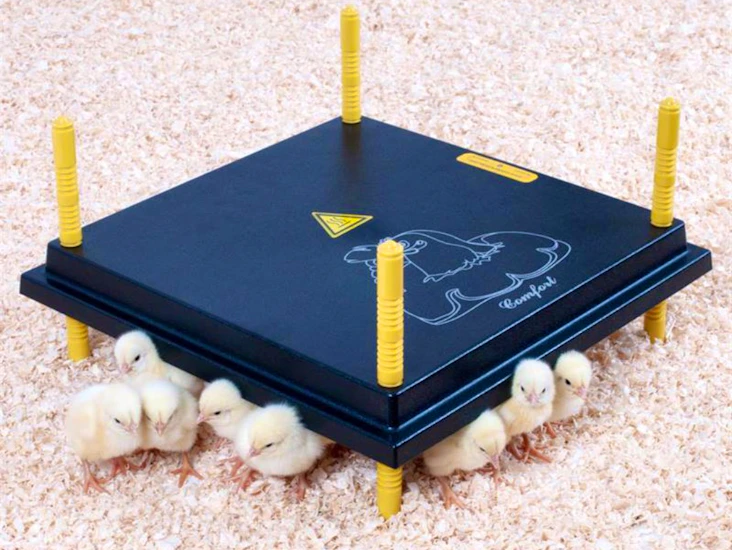 Värmetak för kycklingar