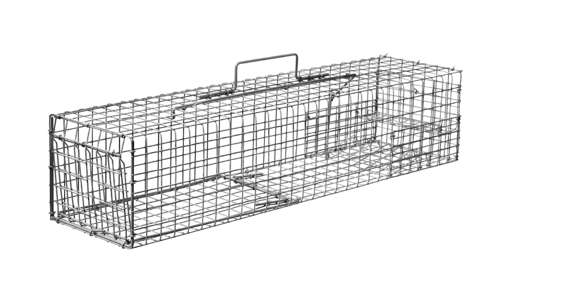 Levande fälla för mink (jägare installerar,tittar till & vittjar.)
